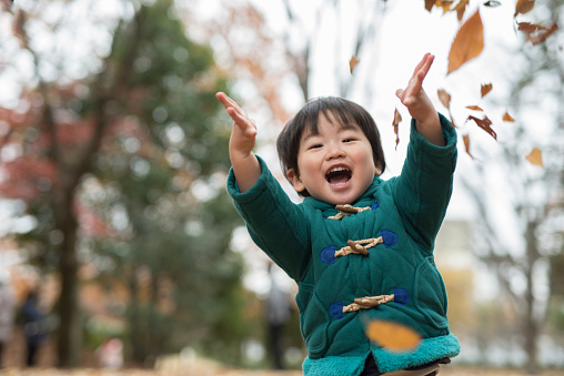 Young child playing in fall leaves